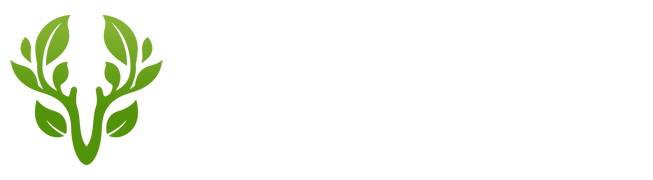 无无弓科技-互联网技术推广_SEO/GEO/AI排名优化专业服务商